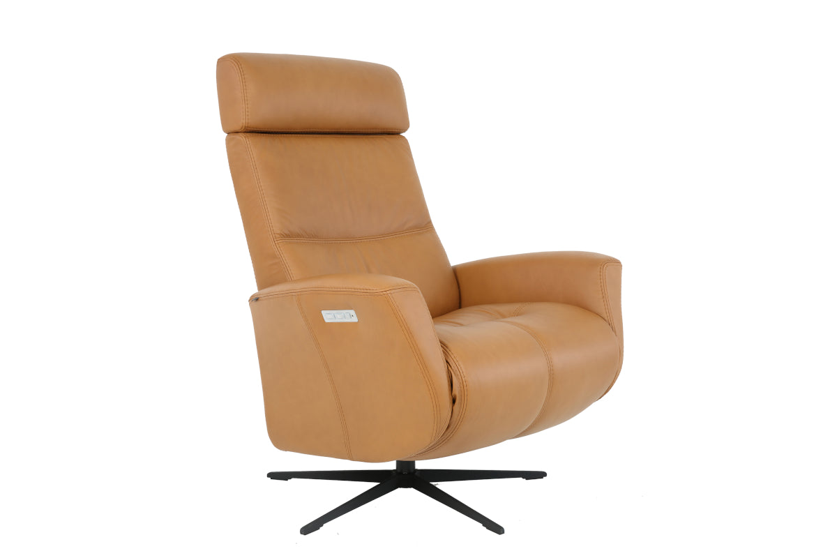 Magnus Swivel Recliner - Medium