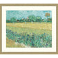Field with Irises Near Arles