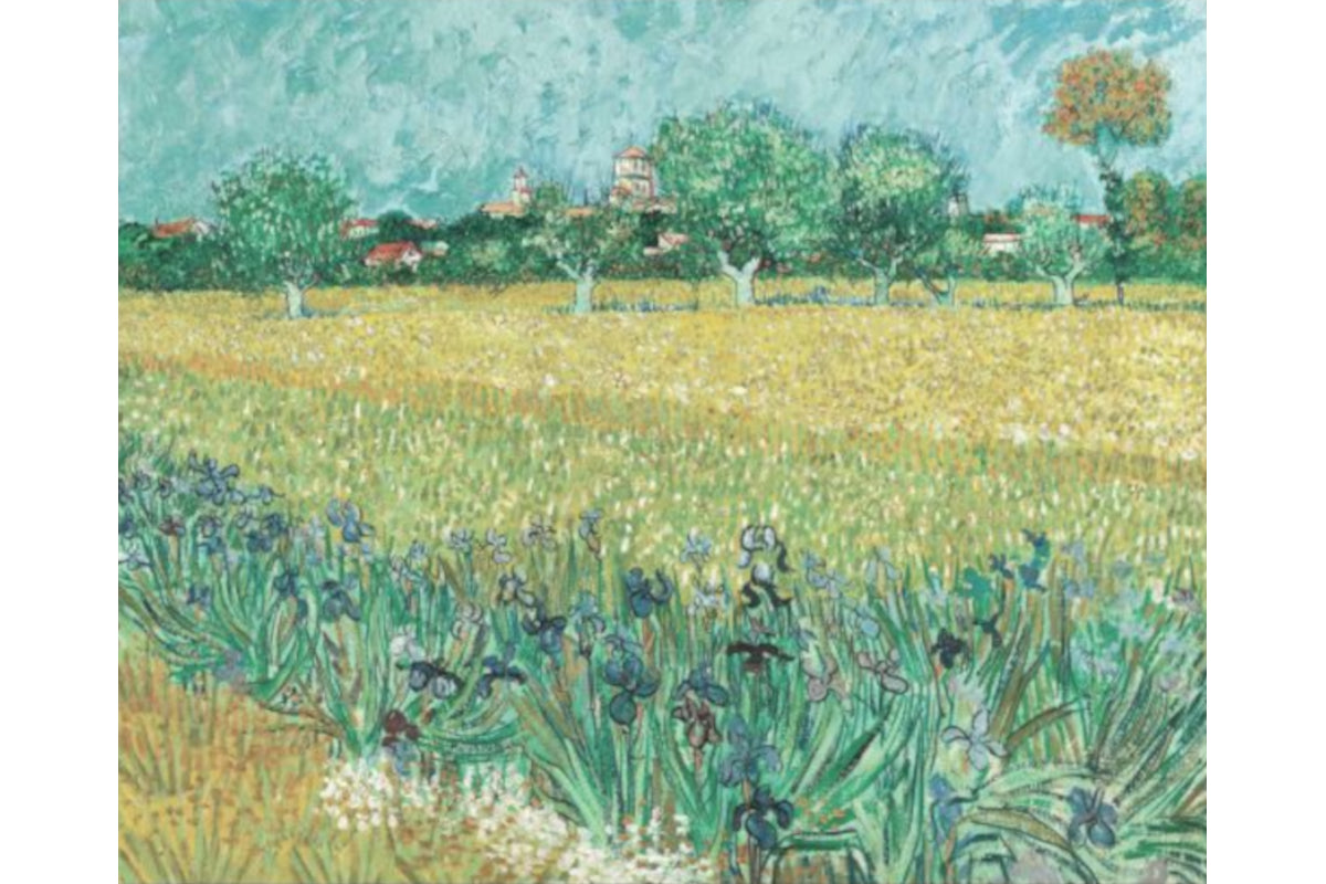 Field with Irises Near Arles